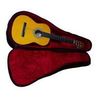 Solid Case Premium Klasik Gitar Gigbag (Siyah)