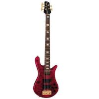 Spector NS-5XL Bas Gitar
