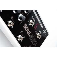 T-Rex Soul Mate Multi Effect Pedalı