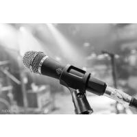 Telefunken Elektroakustik M80 Standard