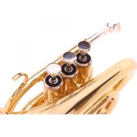 TROMPET POCKET GOLD FOX
