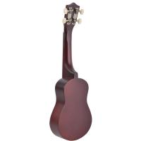 Ukulele Öğrenme Seti KA325DBR