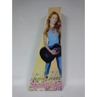 VALENCIA GRC1KPUB KLASİK GİTAR GYPSY ROSE SET (GIGBAG, STRAP, STICKE