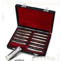 VALENCIA HM1020-12 MIZIKA SET 12' Lİ