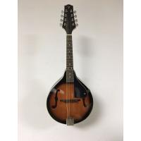 VALENCIA MD30VSW MANDOLIN VINTAGE SUNBURST ÇANTALI (RESİM TEMSİLİDİ