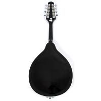VALENCIA MD30VTNA ELEKTRO MANDOLIN