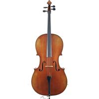 VANETTA WN-19 4/4 Mat Çello