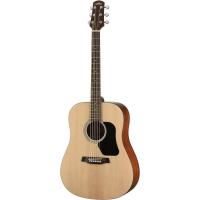 Walden WAD350W Dreadnought Akustik Gitar (Parlak Natural)