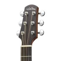 Walden WAG550E Grand Auditorium Elektro Akustik Gitar (Natural)