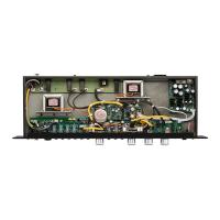 Warm Audio TB12 TONE BEAST - Black