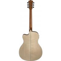 Washburn AG40CE Apprentice Serisi Elektro Akustik Gitar
