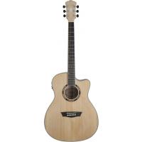 Washburn AG40CE Apprentice Serisi Elektro Akustik Gitar