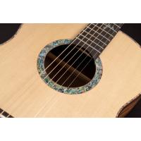 Washburn Bella Tono Elegante S24S Akustik Gitar