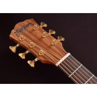 Washburn BTSC56SCE Bella Tono Allure Akustik Gitar
