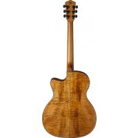Washburn Comfort Serisi WCG66SCE  Elektro Akustik Gitar