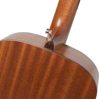 Washburn Comfort Serisi WCG10SENS Mat Akustik Gitar