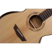 Washburn Comfort Serisi WCG10SENS Mat Akustik Gitar