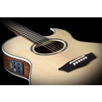 Washburn EA20S Nuno Bettencourt Signature Elektro Akustik Gitar