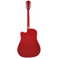 Washburn WA90CRDB Akustik Gitar