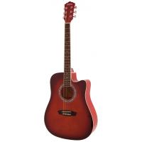 Washburn WA90CRDB Akustik Gitar