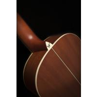Washburn WP11SNS Harvest Akustik Gitar