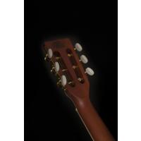 Washburn WP11SNS Harvest Akustik Gitar