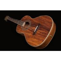 Washburn WP55NS Parlor  Koa Akustik Gitar