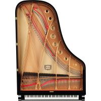 Yamaha S7XPE Grand Piyano (Parlak Siyah)