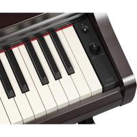 Yamaha YDP-166 R Dijital Piyano (Gülağacı)