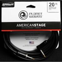 PLANETWAVES PWAMSGRA20 AMERICAN STAGE INST CABLE RA 20  ÇİN