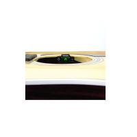 PLANETWAVES PWCT15 NS SOUNDHOLE TUNER