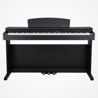 Artesia DP-2+ Dijital Piyano