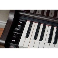 Casio AP-550BN Dijital Piyano (Kahverengi) Casio AP-550BN Dijital Piyano (Kahverengi)
