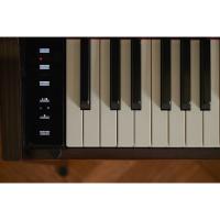 Casio AP-S450BN Dijital Piyano (Kahverengi) Casio AP-S450BN Dijital Piyano (Kahverengi)
