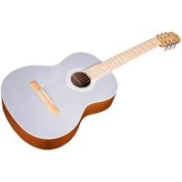 Cordoba Protege C1 Matiz Klasik Gitar (Pale Sky)