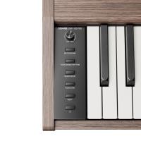 Donner DHP-100 Pro Dijital Piyano (Walnut) Donner DHP-100 Pro Dijital Piyano (Walnut)