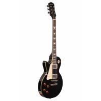 Epiphone Les Paul Standart Solak Elektro Gitar