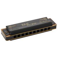 Fender Harmonica Blues Deville G