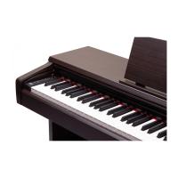 Pearl River V-05 Dijital Piyano (Gül Ağacı) Pearl River V-05 Dijital Piyano (Gül Ağacı)