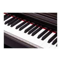 Pearl River V-05 Dijital Piyano (Gül Ağacı) Pearl River V-05 Dijital Piyano (Gül Ağacı)