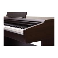 Pearl River V-05 Dijital Piyano (Gül Ağacı) Pearl River V-05 Dijital Piyano (Gül Ağacı)