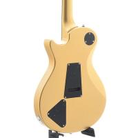 PRS SE Santana Singlecut Elektro Gitar (Egyptian Gold)