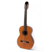 Raimundo 128 Cedar Guitar