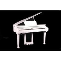 Ringway GDP-1120 Lake Beyaz Kuyruklu Dijital Piyano