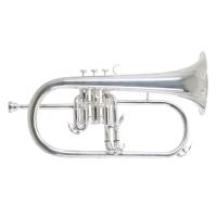 Roy Benson FH-302S Flugelhorn