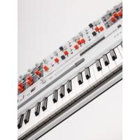UDO Audio Super Gemini 61 Tuş Analog Hibrit Synthesizer (Beyaz) UDO Audio Super Gemini 61 Tuş Analog Hibrit Synthesizer (Beyaz)