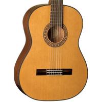Washburn C40 Klasik Gitar
