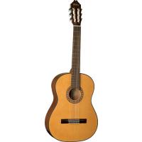 Washburn C40 Klasik Gitar