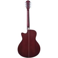 Washburn Deep Forest Burl Ace Amber Fade Elektro Akustik Gitar