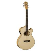 Washburn EA20 Elektro Akustik Gitar
